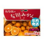ふるさと納税 果物類 みかん 和歌山県 有田川町 年内発送 ちょっと 傷あり 完熟早生 有田みかん S または SS 5kg 和歌山 南泰園 みかん