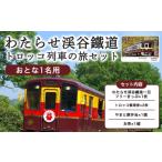 体験チケット わたらせ渓谷鐵道 トロッコ列車の旅セット