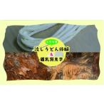 体験チケット 小平の里 流しうどん体験&鍾乳洞見学 2名様