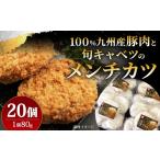 豚肉 ハンバーグ 九州産 と 旬キャベツのメンチカツ 80g×20…