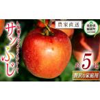 ふるさと納税 長野県 飯綱町 りんご サンふじ 贅沢な 家庭用 5kg 永野農園 沖縄県への配送不可 2024年12月上旬頃から2025年2月上旬頃まで順次発送予定 令和6年…