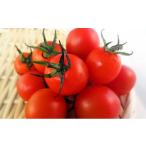 fu.... налог помидор мини помидоры Okayama префектура высота . город No.5615-0093 2026 год предшествующий предварительный заказ мини помидоры 150g 10 упаковка ... Okayama высота . город производство иметь машина овощи 