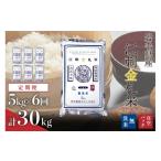 ふるさと納税 米 ひと