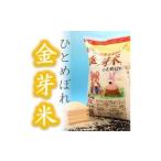 ふるさと納税 岩手県 奥州市 【無洗米】金芽米ひとめぼれ4.5kg  令和5年産 おこめ ごはん ブランド米 精米 白米