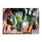 セット 詰合せ 五人坊主大島農園おススメの野菜詰め合わせ