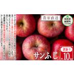 ふるさと納税 りんご 長野県 飯綱町 りんご サンふじ 訳あり 10kg 松澤農園 沖縄県への配送不可 2025年11月下旬頃から2026年2月下旬頃まで順次発送予定 令和7…