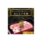 牛肉 サーロイン あがの姫牛 サーロインステーキ 200g×2枚