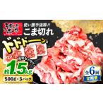 豚肉 炒め物 6回定期便 長崎うずしおポーク