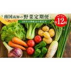 高知から直送 旬の季節のお野菜定期便 7~9品