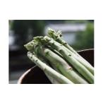 野菜類 アスパラガス 43. 約1kg