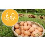 卵 鶏 烏骨鶏等 たまご 30個