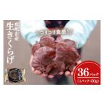 野菜類 きのこ 生きくらげ 1.8kg