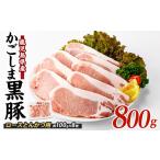 かごしま黒豚ロースとんかつ用約100g×8枚