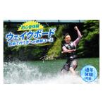 体験チケット 体験 ウェイクボード 初心者体験コース