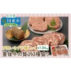 牛肉 ハンバーグ 手間いらずが嬉しい 豊後牛の贅沢3種盛り