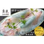 呼子のいか活造り4杯 コリコリ甘い鮮度抜群の透明感 約200g…