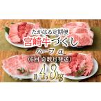 牛肉 焼肉 バーベキュー 定期便6回 宮崎牛たかはる定期便ハ…