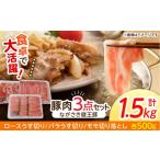 ながさき健王豚うす切り 切り落とし ロースうす切り500g