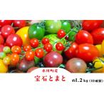 野菜類 トマト 令和8年熊本地震復興支援