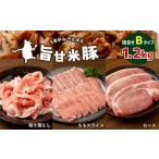 豚肉 旨甘米豚 詰め合せBタイプ ロース ももスライス