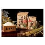 ふるさと納税 無洗米 新潟県 南魚沼市  12月20日ご入金確認分まで年内発送 令和7年産 高級 南魚沼塩沢産こしひかり5kg(無洗米)