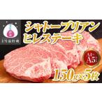 牛肉 ヒレ 別格 雪温貯蔵にいがた和牛 A4