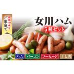 肉 ハム 絶品女川ハム&amp;ソーセージ