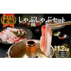 豚肉 ロース 73-1 B-701 鹿児島黒豚しゃぶしゃぶセット