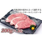 牛肉 サーロイン 丹波牛 A5ランク サーロインステーキ 600g