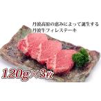 牛肉 ヒレ 丹波牛フィレステーキ 360g