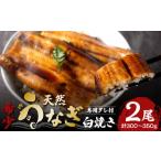 ふるさと納税 うなぎ 熊本県 八代市 熊本県八代市産 天然うなぎ白焼き(中) 2本 (計300〜350g) 蒲焼のたれ付き