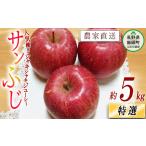 ふるさと納税 りんご 長野県 飯綱町 りんご サンふじ 特選 5kg やまじゅうファーム 沖縄県への配送不可 2025年12月上旬頃から2025年12月中旬頃まで順次発送予…