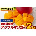 ショッピングふるさと納税 マンゴー ふるさと納税 マンゴー 沖縄県 南風原町  2026年発送 南国の果物　沖縄県産アップルマンゴー　2kg