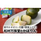 饅頭 羊羹 大福 国東銘菓かぼりん8個セット 120g×8個
