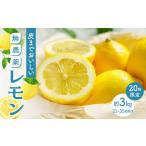 ふるさと納税 みかん・柑橘類 レモン 広島県 尾道市  20箱限定 皮まで美味しい無農薬レモン 約3kg 瀬戸田 瀬戸田レモン 檸檬 瀬戸内レモン フルーツ 柑橘 シト…