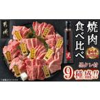 牛肉 セット 宮崎牛焼肉食べ比べ9種盛 宮崎牛