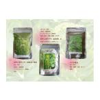 乾物 無農薬栽培 バジリコ粉末 ボタンボウフウ