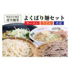 うどん 生 半生めん 創業明治35年蓮実麺業のよくばり麺セッ…