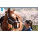 体験チケット 初心者向け ビジター乗馬体験