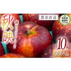ふるさと納税 りんご 長野県 飯綱町 りんご 秋映 訳あり 10kg 松橋りんご園 2025年10月上旬頃から2025年10月中旬頃まで順次発送予定 令和7年度収穫分 フルーツ…
