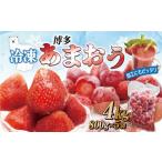 冷凍 博多あまおう 800g×5袋
