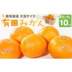 ふるさと納税 果物類 みかん 和歌山県 有田川町 産地直送 有田みかん 大玉サイズ 2L〜4L サイズ混合 約10kg 喜楽farms 2025年12月以降順次発送