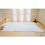 タオル 寝具 掛け布団 新感覚 天然素材 テンセル100%