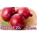 野菜類 玉ねぎ 紫玉ねぎ20個 09107