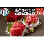 マグロ a30-175 総重量約1250g