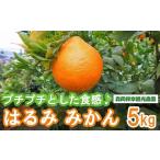 ふるさと納税 みかん・柑橘類 奈良県 桜井市 M-AD46. プチプチ食感 奈良県桜井産 はるみ 5kg