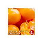 ふるさと納税 みかん・柑橘類 静岡県 静岡市  2026年2月上旬より順次発送 プチ、サク、ジューシー 清水のはるみ 5kg 配送不可：離島