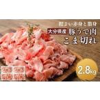 豚肉 カレー シチュー 豚うで 肉のこま切れ 2.8kg
