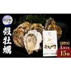 ふるさと納税 牡蠣 生牡蠣 北海道 厚岸町 厚岸町 新ブランド 『 弁天かき 』 Lサイズ 15個 北海道 牡蠣 カキ かき 生食 生食用 生牡蠣 魚介類 魚貝類 No.5863-…