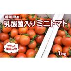fu.... налог помидор мини помидоры Kagawa префектура восток ... город No.4631-1765 маленький . прекрасный тест ..[. кислота . ввод мини помидоры 1kg] первый предмет овощи 
